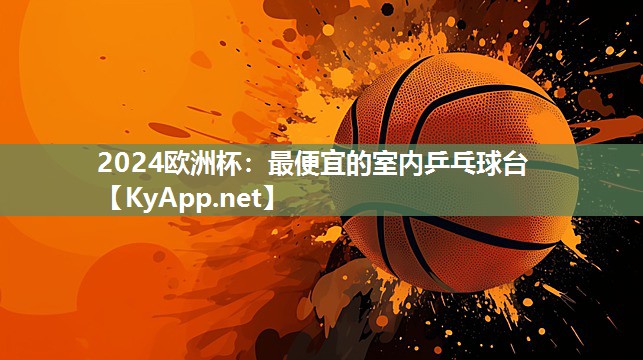 2024欧洲杯：最便宜的室内乒乓球台